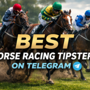 Horse race action with Telegram tipsters