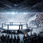 MMA Ring