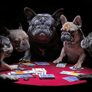 dogs playing poker