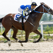 horse racing