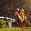 horses racing around the bend at major horse race