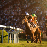 horses racing around the bend at major horse race