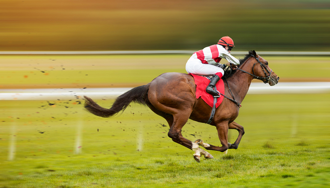 horse running in race