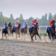 horse racing