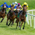 horses racing around the bend in horse race