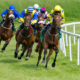 horses racing around the bend in horse race