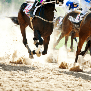 horses galloping through sand