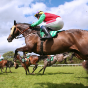 jumping horses