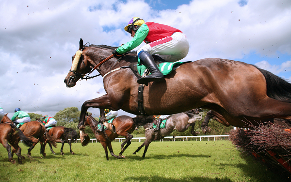 jumping horses